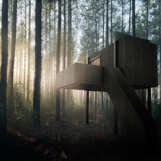 zwart modern houten huis in een bos