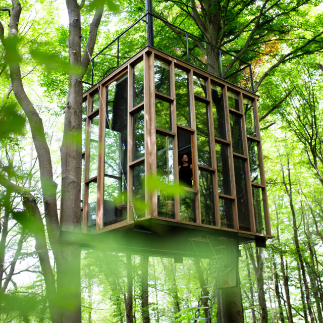 moderne boomhut met glas, modern treehouse with glass